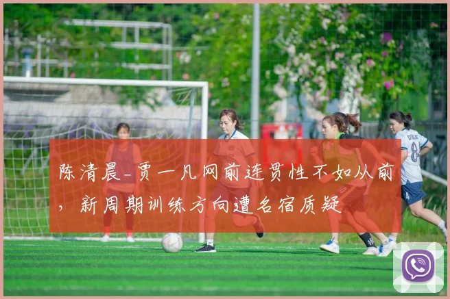 陈清晨_贾一凡网前连贯性不如从前，新周期训练方向遭名宿质疑